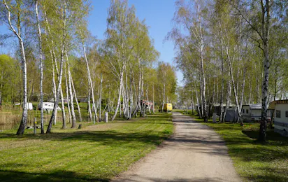 Bergwitzsee Resort