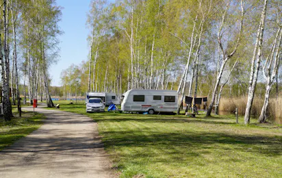Bergwitzsee Resort