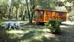 Camping Universal - Zirkus Wohnwagen im Grünen auf dem Campingplatz