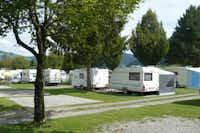 Camping Unterägeri  -  Wohnwagenstellplatz und Wohnmobilstellplatz vom Campingplatz zwischen Bäumen