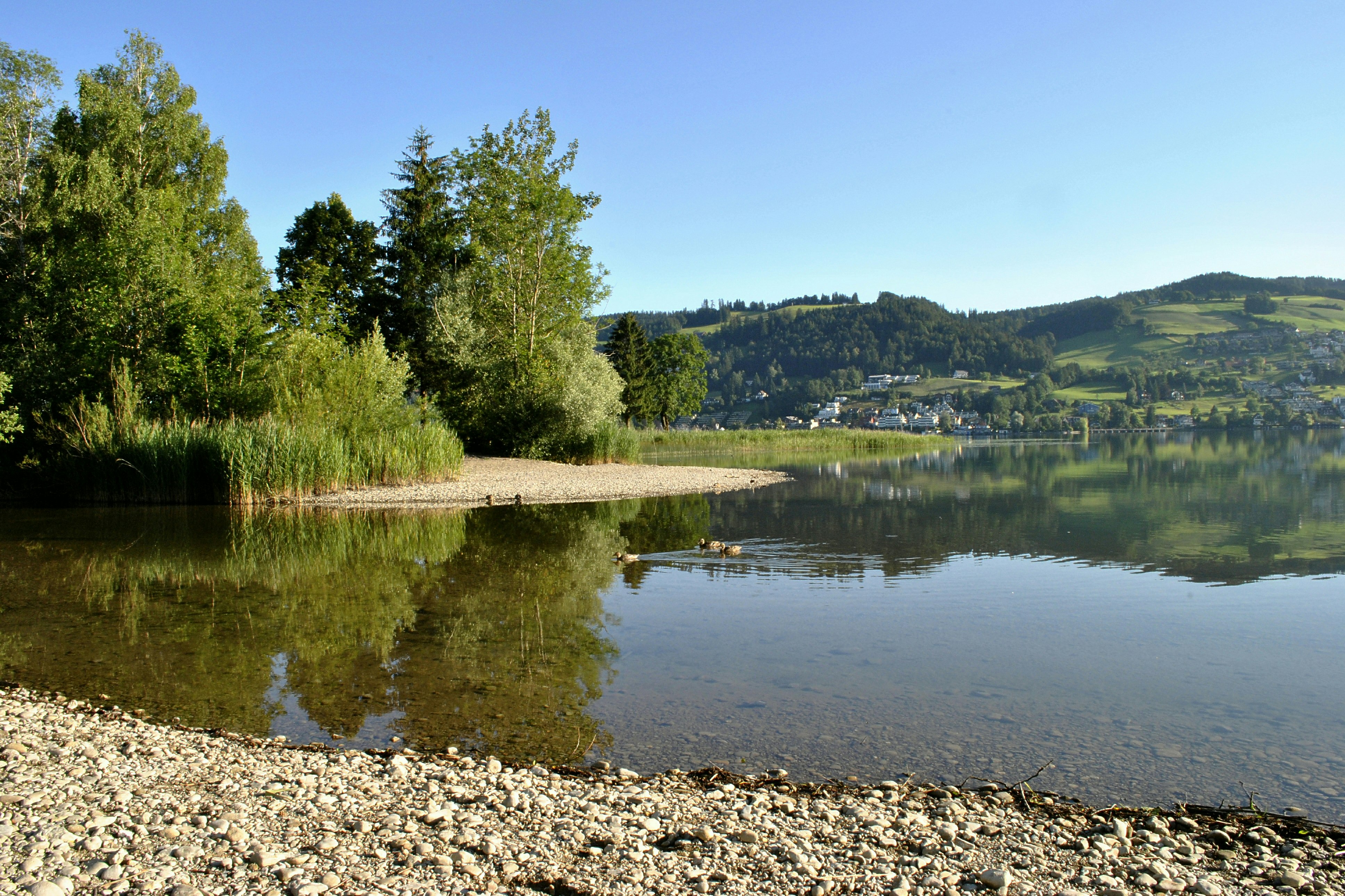 Camping Unterägeri  - Strand vom Campingplatz am Ägerisee