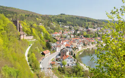 Camping unterm Dilsberg