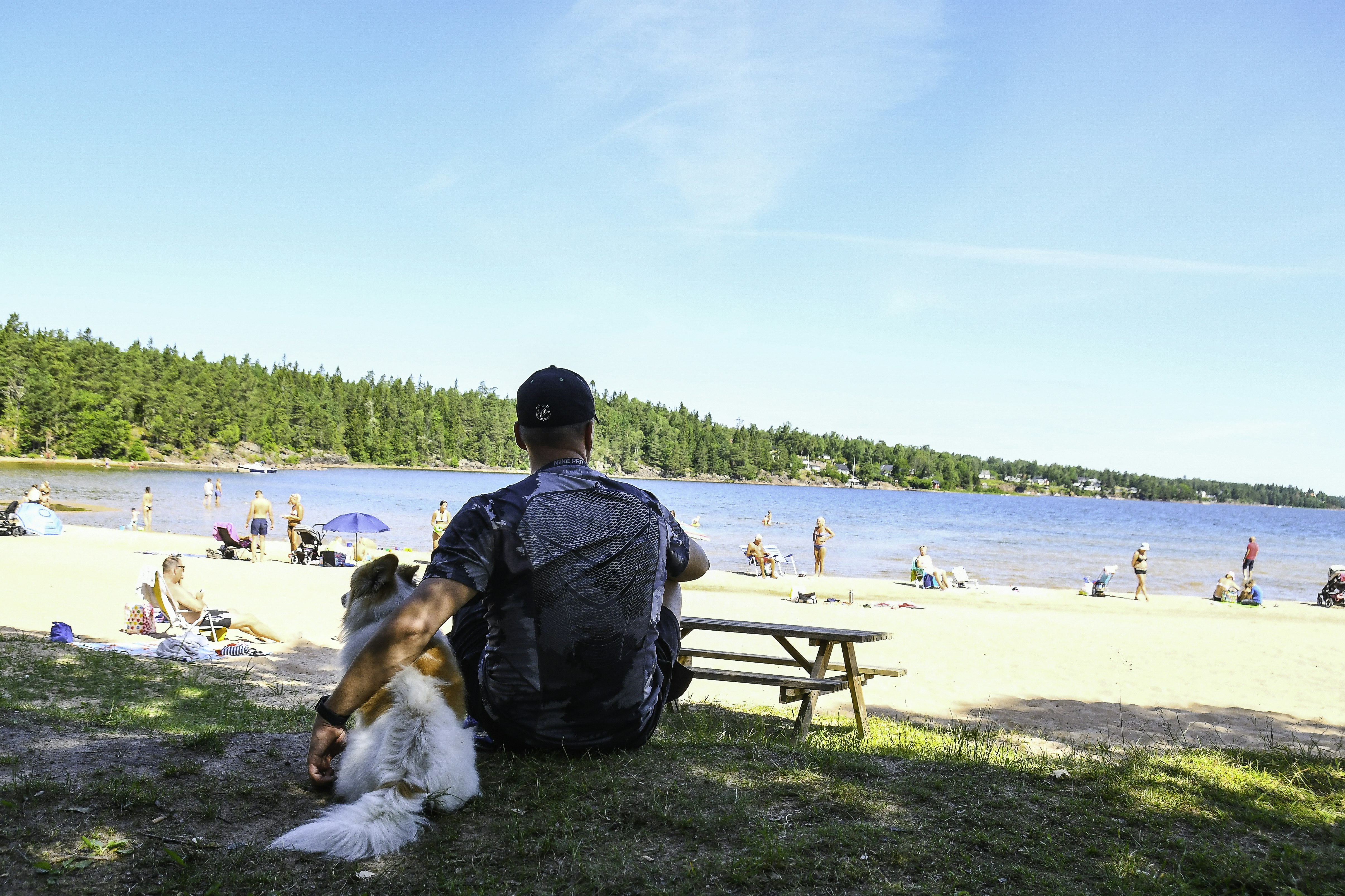 Ursand Resort & Camping  Camping Ursand - Camper mit Hund auf der Liegewiese am See