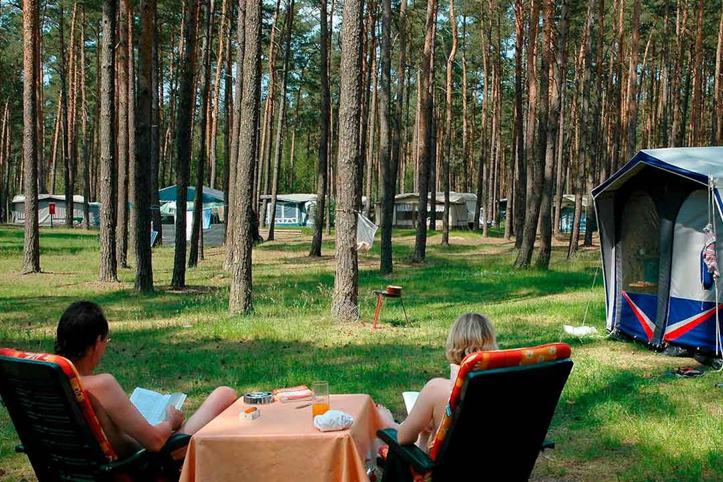 Camping Useriner See  - Camper auf dem Wohnmobilstellplatz und Wohnwagenstellplatz vom Campingplatz zwischen Bäumen