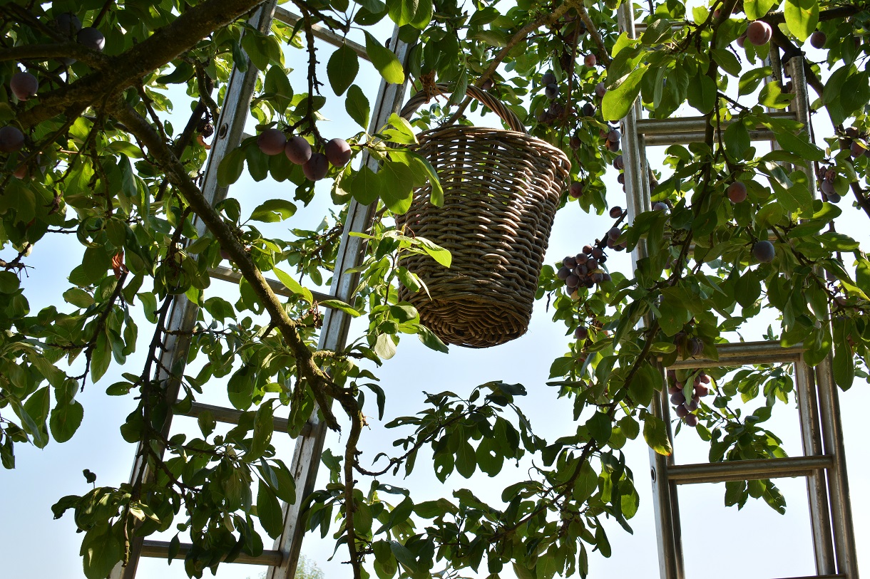 Camping Landgoed Moerslag