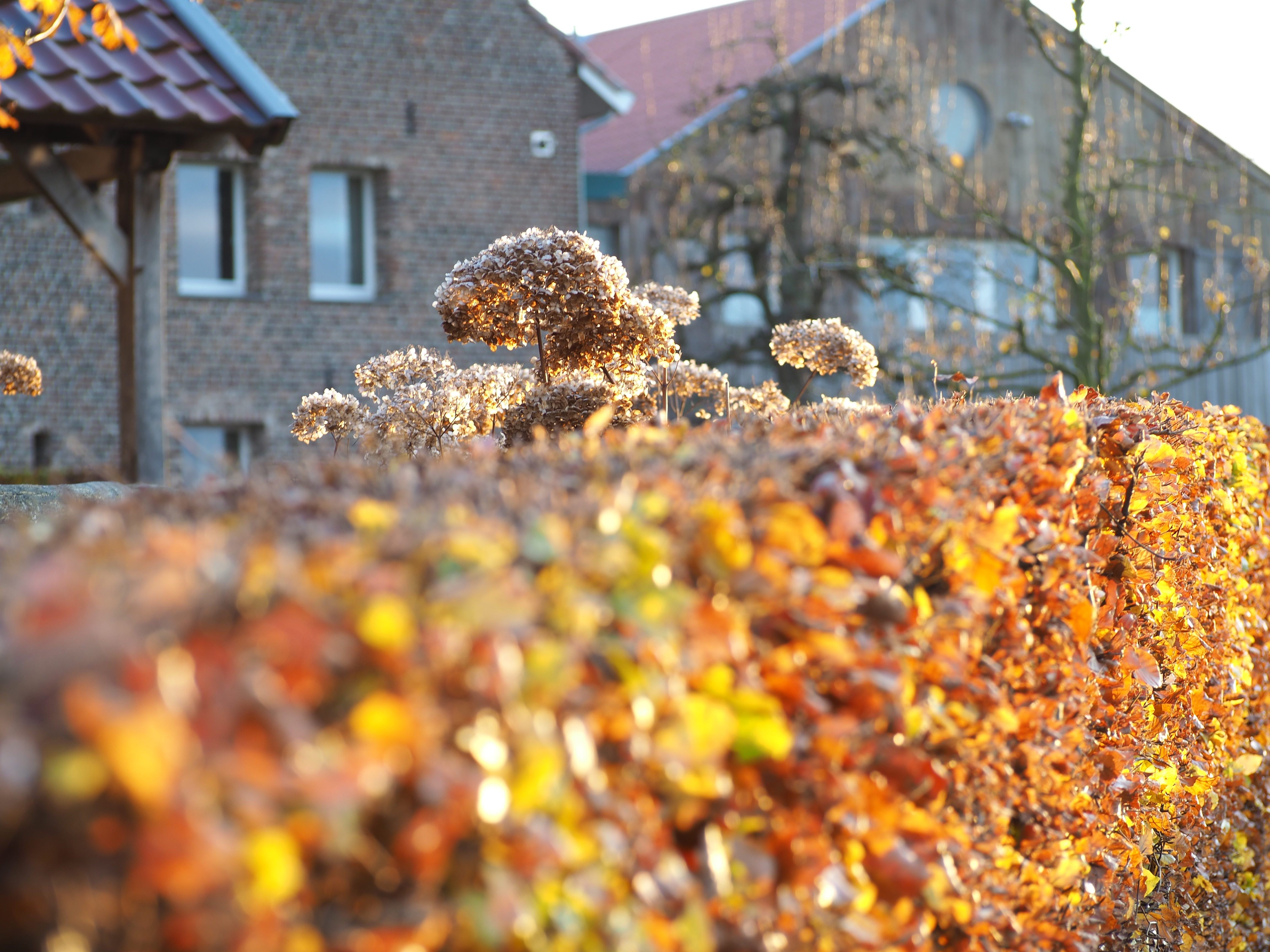 Herbstlaub im Vordergrund vor einem Campinggebäude mit Ziegelfassade und Fenstern, im Hintergrund Bäume.