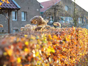 Herbstlaub im Vordergrund vor einem Campinggebäude mit Ziegelfassade und Fenstern, im Hintergrund Bäume.