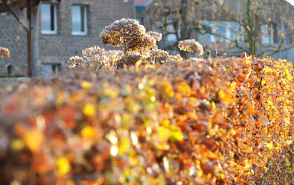 Camping Landgoed Moerslag
