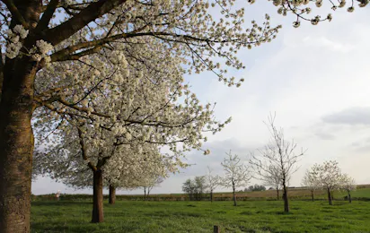 Camping Landgoed Moerslag