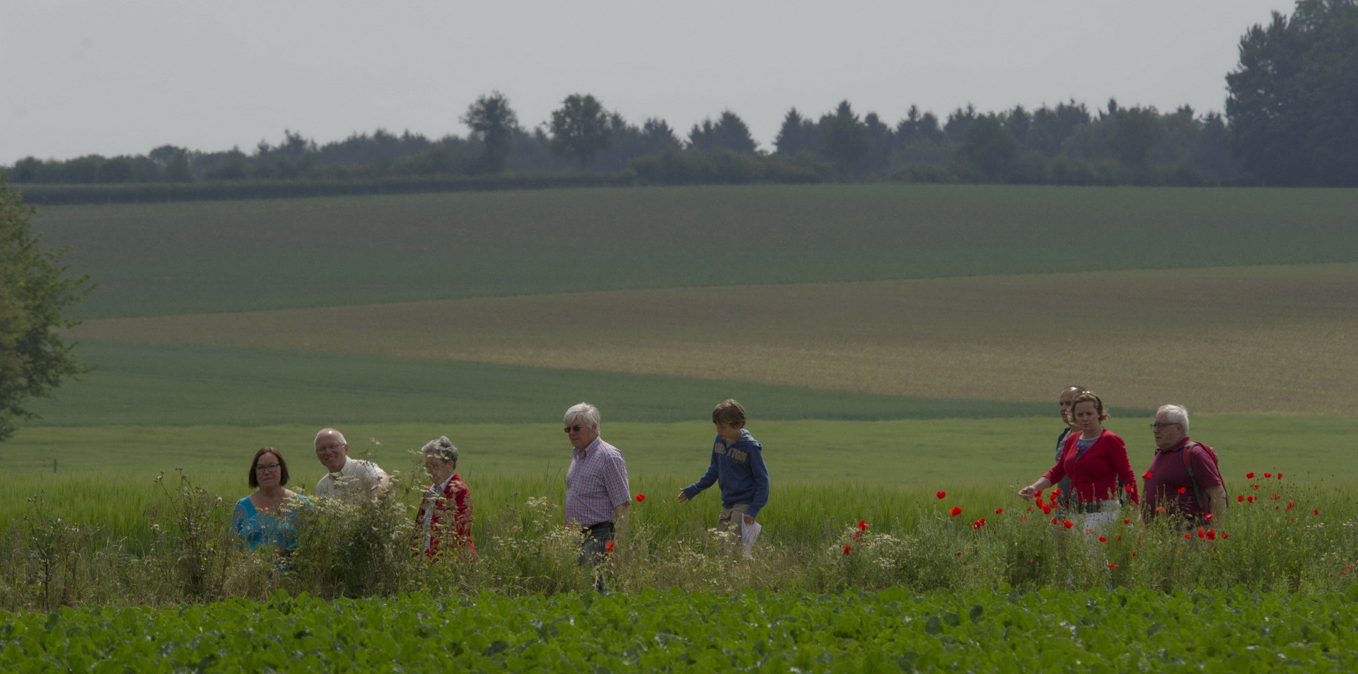 Familie spaziert durch ein Blumenfeld am Campingplatz, im Hintergrund Felder und Bäume.