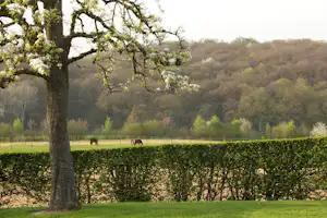 Großer Baum im Vordergrund, dahinter Wiese, Hecke und Felder mit Hügeln in der Ferne.