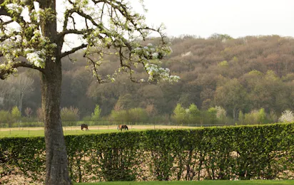 Camping Landgoed Moerslag