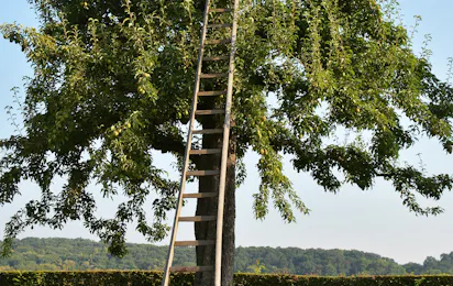 Camping Landgoed Moerslag