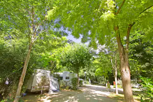 Campingplatz mit Stellplatz am Weg, Zelt und Wohnwagen im Grünen zwischen Bäumen und Hecken.
