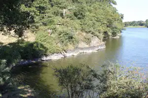 Ruhiger Fluss mit bewachsenem Ufer und Bäumen, Blick von oben auf das Wasser und die Vegetation am Ufer.