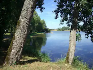 Seeufer mit Bäumen im Vordergrund und ruhigem Wasser, dahinter grünes Ufer und bewaldete Landschaft.