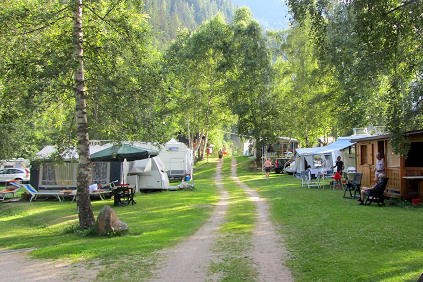 Camping Val di Sole - Wohnwagen- und Zeltstellplatz vom Campingplatz unter hohen Bäumen im Sommer