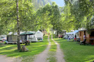 Camping Val di Sole - Wohnwagen- und Zeltstellplatz vom Campingplatz unter hohen Bäumen im Sommer