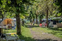 Camping Val Rendena - Spazierweg im Wald zwischen Zelten auf dem Campingplatz