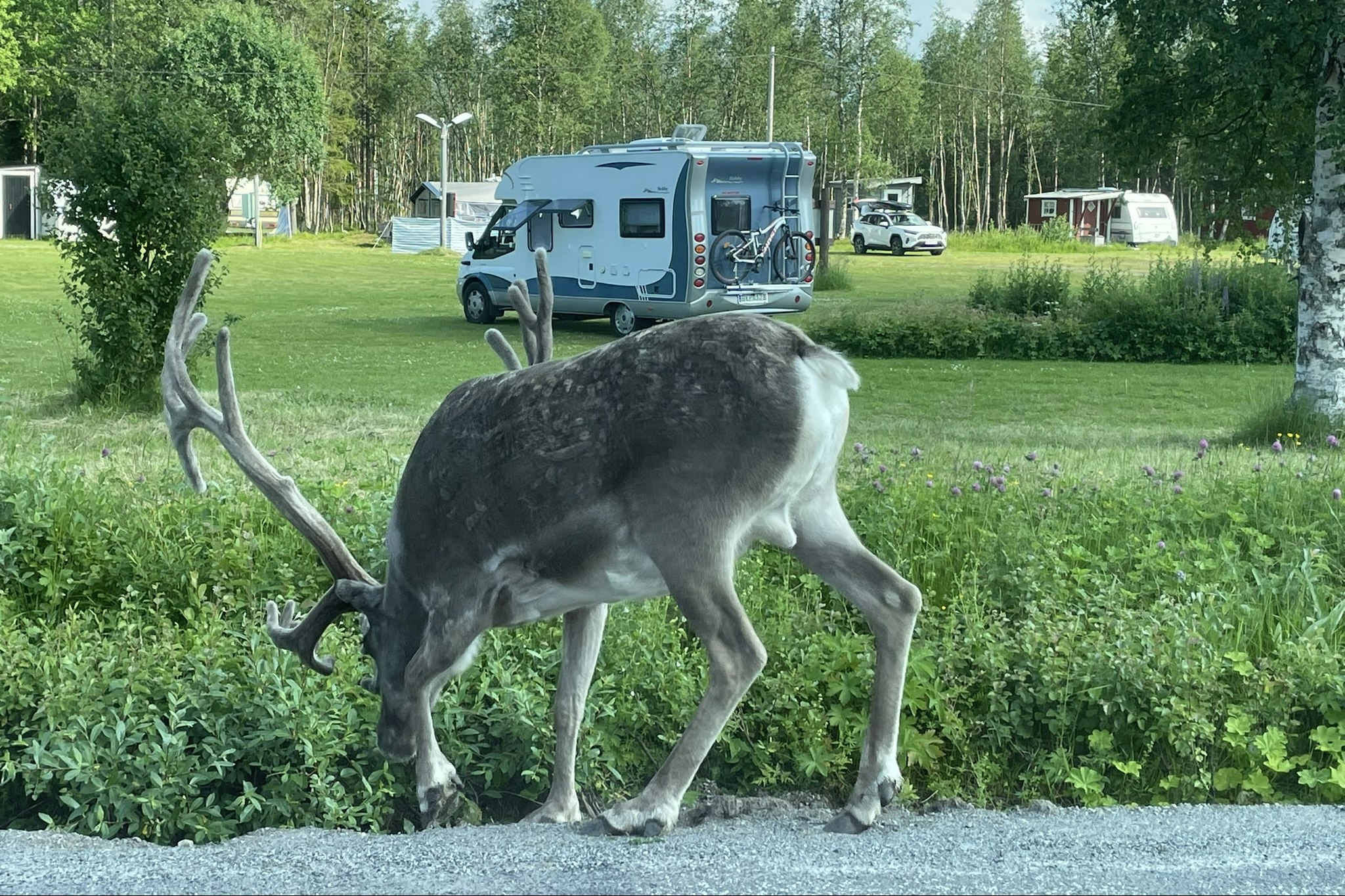 Camping Vålågården