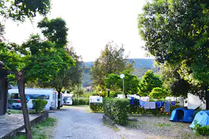 Camping Valdeiva - Wohnwagen- und Zeltstellplatz vom Campingplaten zwischen Bäumen