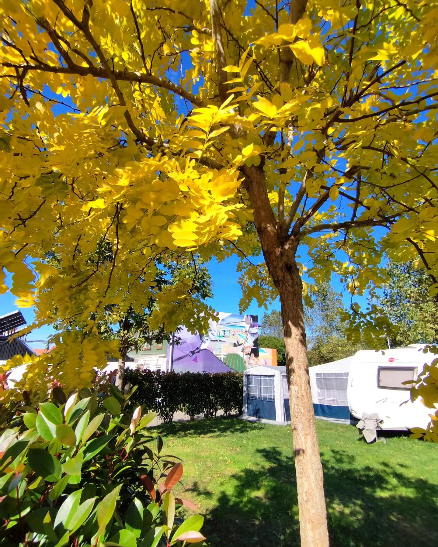 Camping Valdoviño 1ª