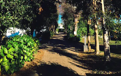 Camping Valdoviño 1ª