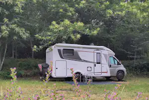 Wohnmobil auf einem Campingplatz mit Vorzelt und Sitzbereich, umgeben von Bäumen und Blumenwiese.