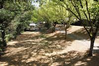 Camping Valenty - Standplätze im Schatten der Bäume