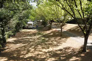 Camping Valenty - Standplätze im Schatten der Bäume