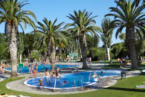 Camping Valldaro - Pool vom Campingplatz zwischen Palmen