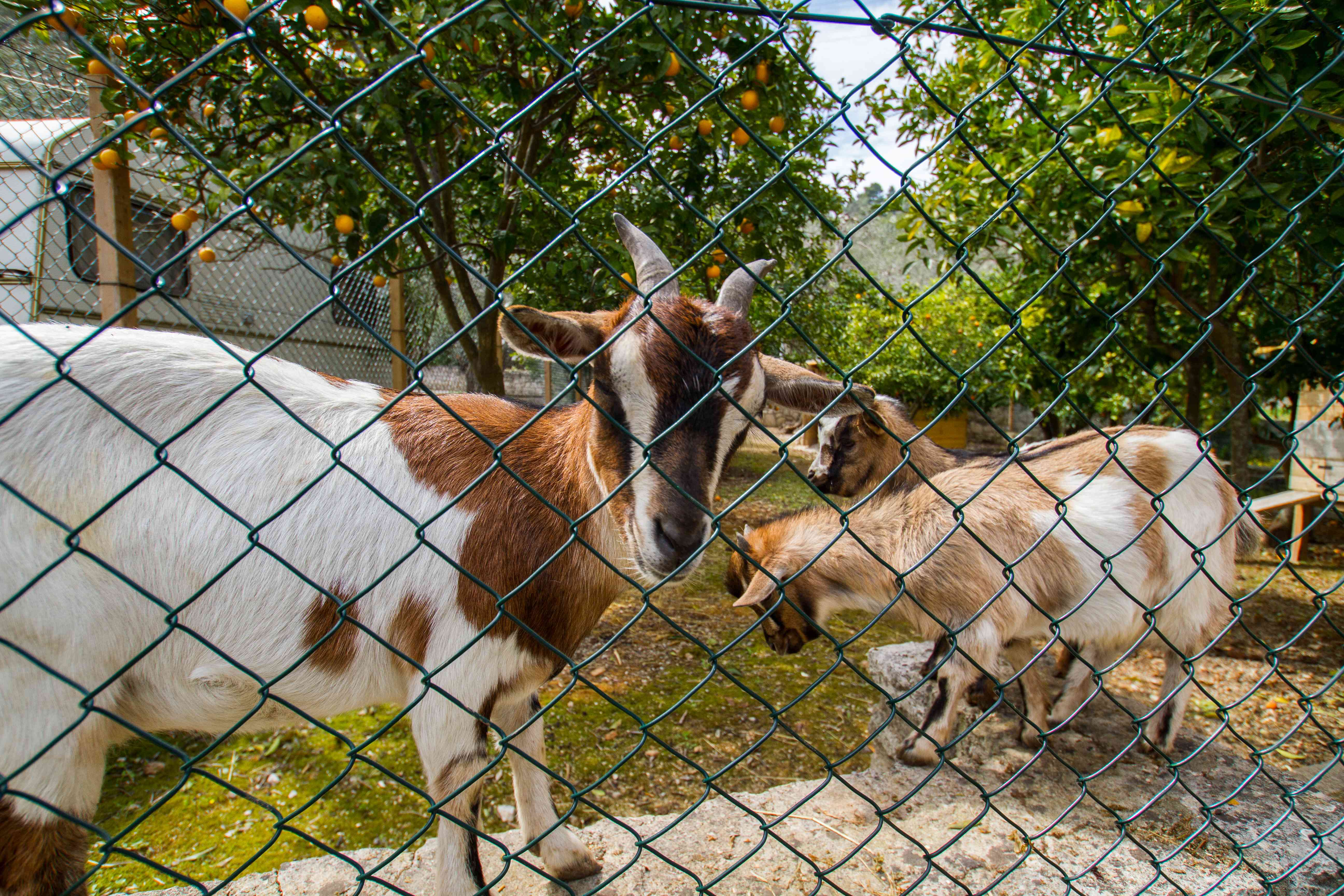 Camping Village Valle d'oro