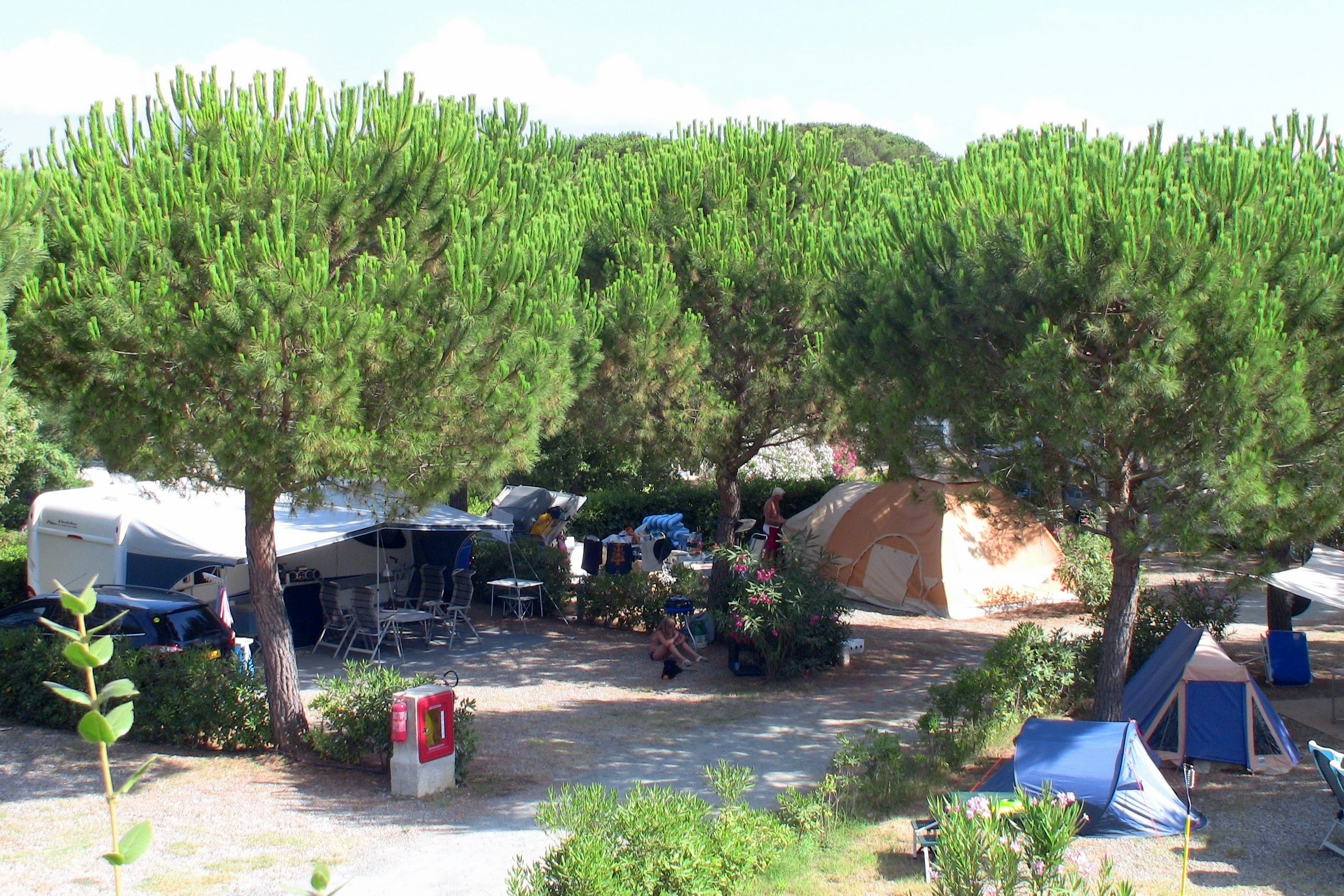 Camping Valle Gaia  -  Wohnwagen- und Zeltstellplatz vom Campingplatz unter Bäumen