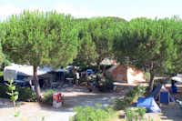 Camping Valle Gaia  -  Wohnwagen- und Zeltstellplatz vom Campingplatz unter Bäumen