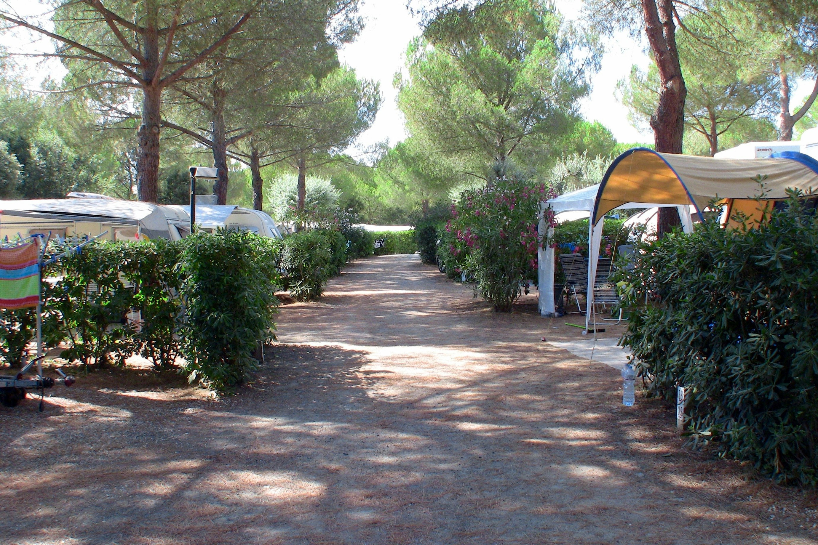 Camping Valle Gaia  - Gehweg auf dem Wohnwagen- und Zeltstellplatz vom Campingplatz