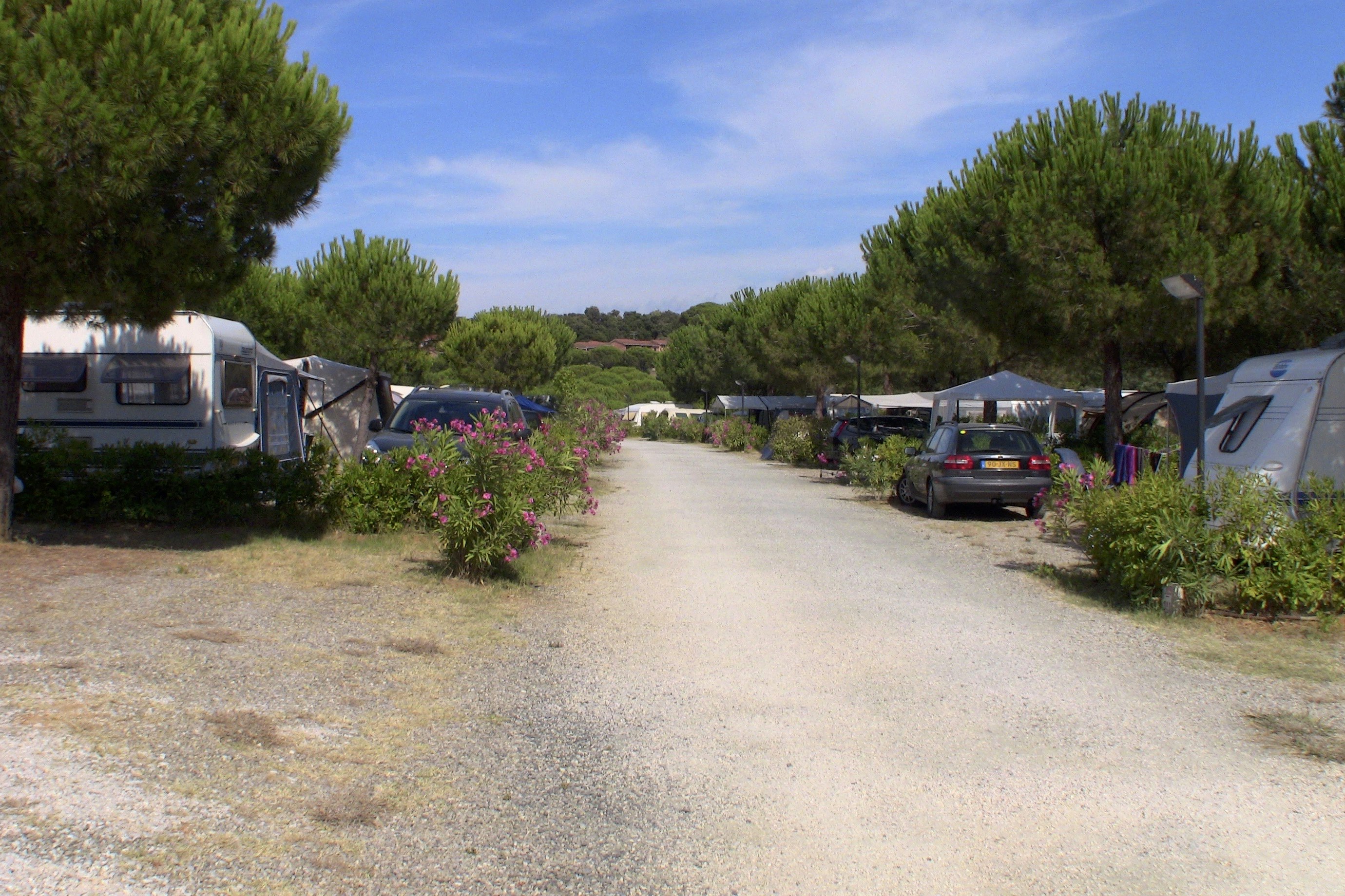 Camping Valle Gaia - Standplätze auf dem Campingplatz