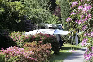Camping Valle Romantica - Wohnwagen- und Zeltstellplatz umgeben von Planzen auf dem Campingplatz