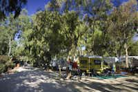 Camping Valle Santa Maria - Wohnwagen- und Zeltstellplatz unter Bäumen auf dem Campingplatz