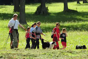 Familie mit Hund beim Spaziergang im Park, mehrere Personen mit Leinen, grünes Gras und Bäume im Hintergrund.