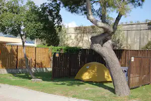 Camping Vallecrosia - Zeltstellplatz zwischen Bäumen auf dem Campingplatz