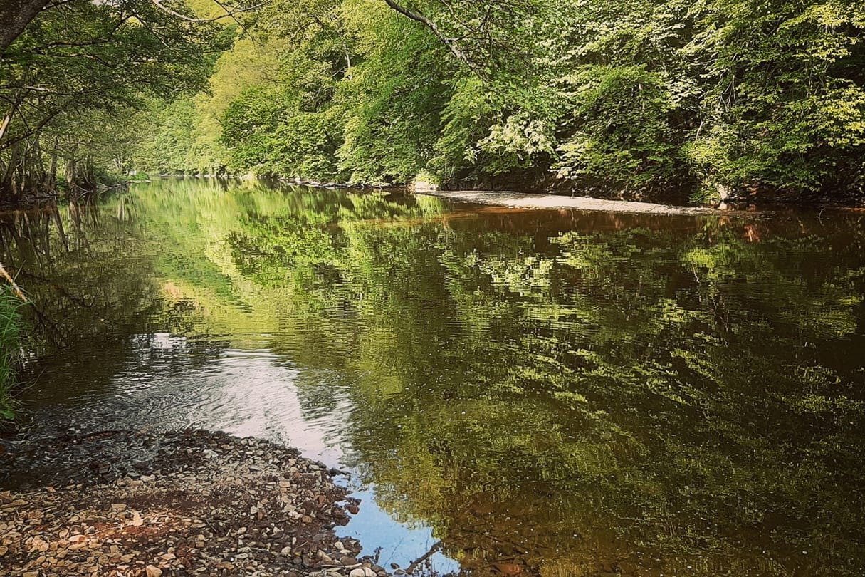 Camping Vallee de L'Our - See am Campingplatz