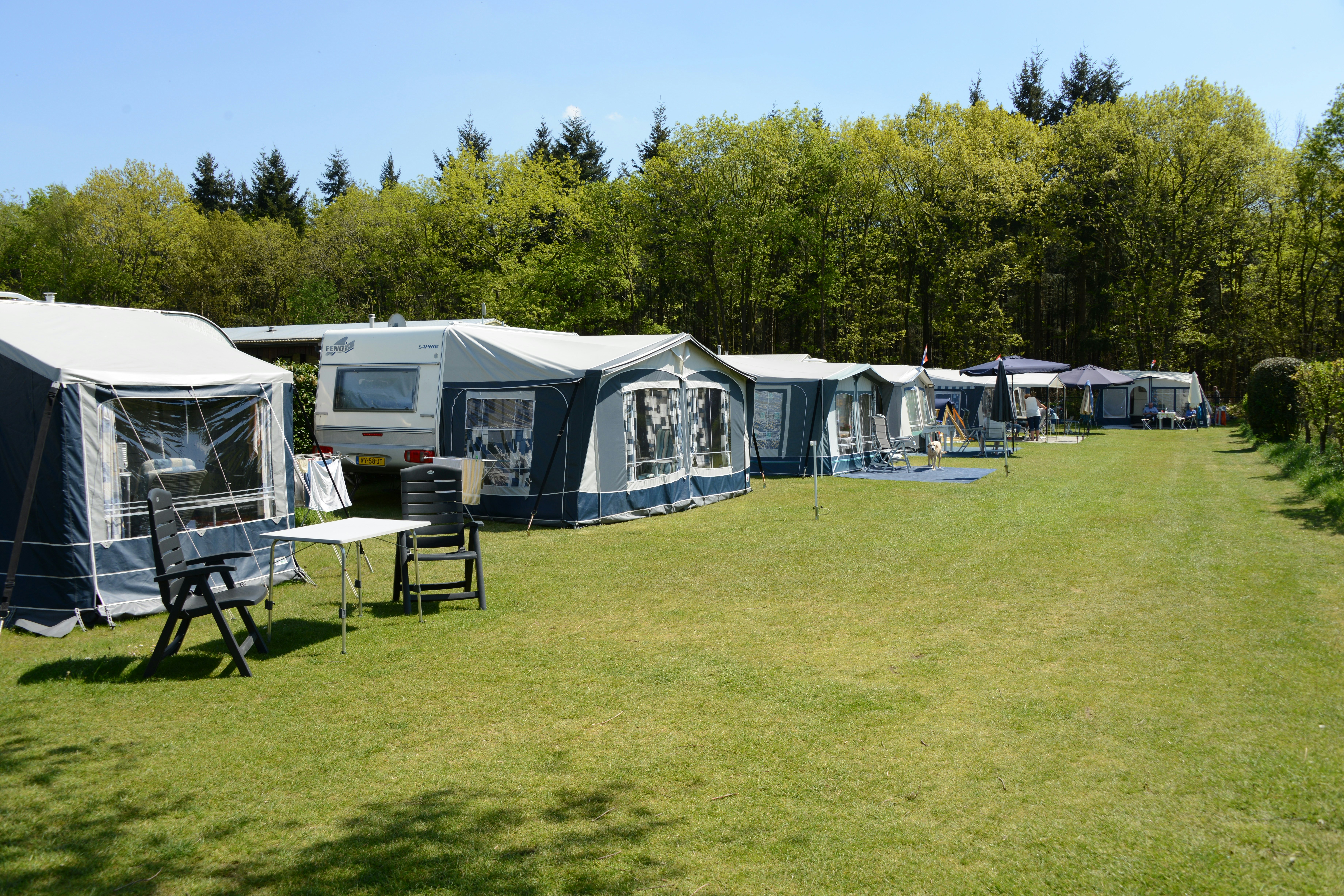 Camping van Rossum's Troost - Standplatzwiese auf dem Campingplatz