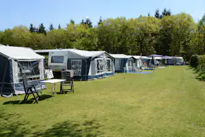 Camping van Rossum's Troost - Standplatzwiese auf dem Campingplatz
