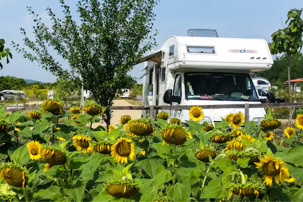 Camping Veliko Tarnovo