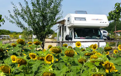 Camping Veliko Tarnovo