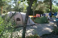 Camping Vell Emporda - Zeltplatz vom Campingplatz zwischen Bäumen