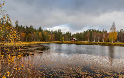 Camping Vemdalens