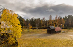 Camping Vemdalens - Blick auf See.jpg
