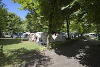 Camping Venus  -  Wohnwagen- und Zeltstellplatz unter Bäumen auf dem Campingplatz