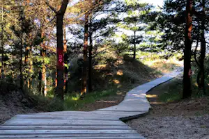 Camping Verbelnieki - Gehweg vom Campingplatz durch ein Waldstück zum Meer